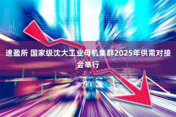 速盈所 国家级沈大工业母机集群2025年供需对接会举行