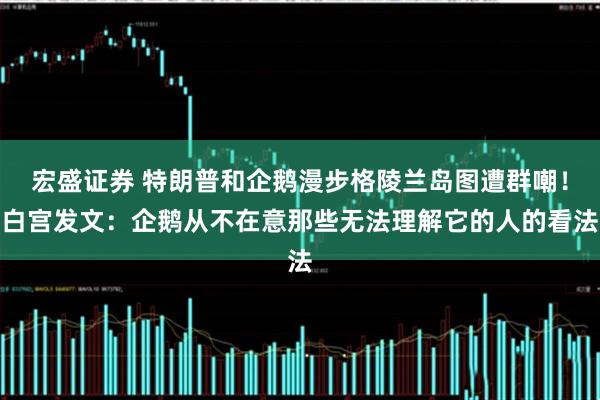 宏盛证券 特朗普和企鹅漫步格陵兰岛图遭群嘲！白宫发文：企鹅从不在意那些无法理解它的人的看法