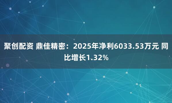 聚创配资 鼎佳精密：2025年净利6033.53万元 同比增长1.32%